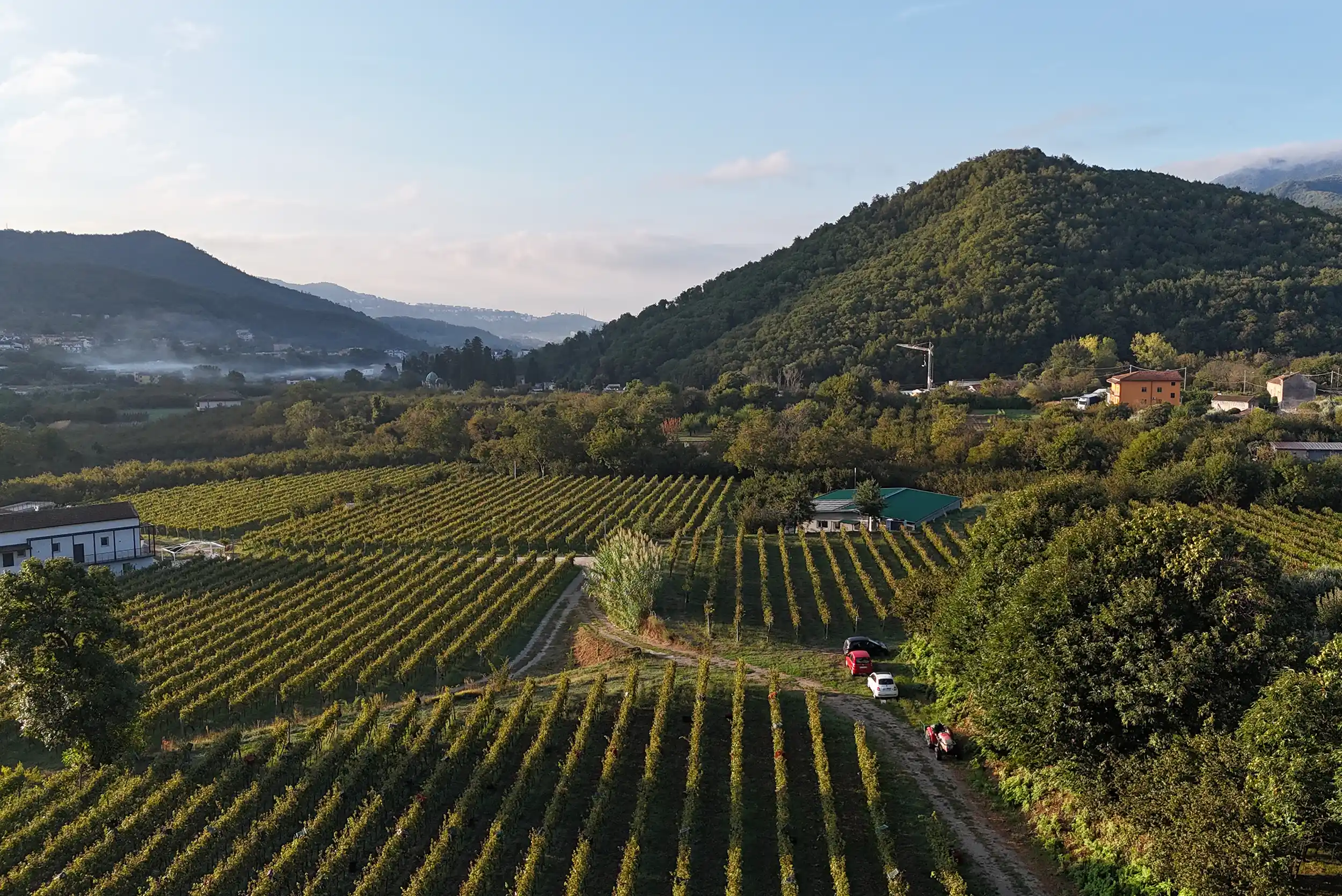 Azienda Agricola Guerritore