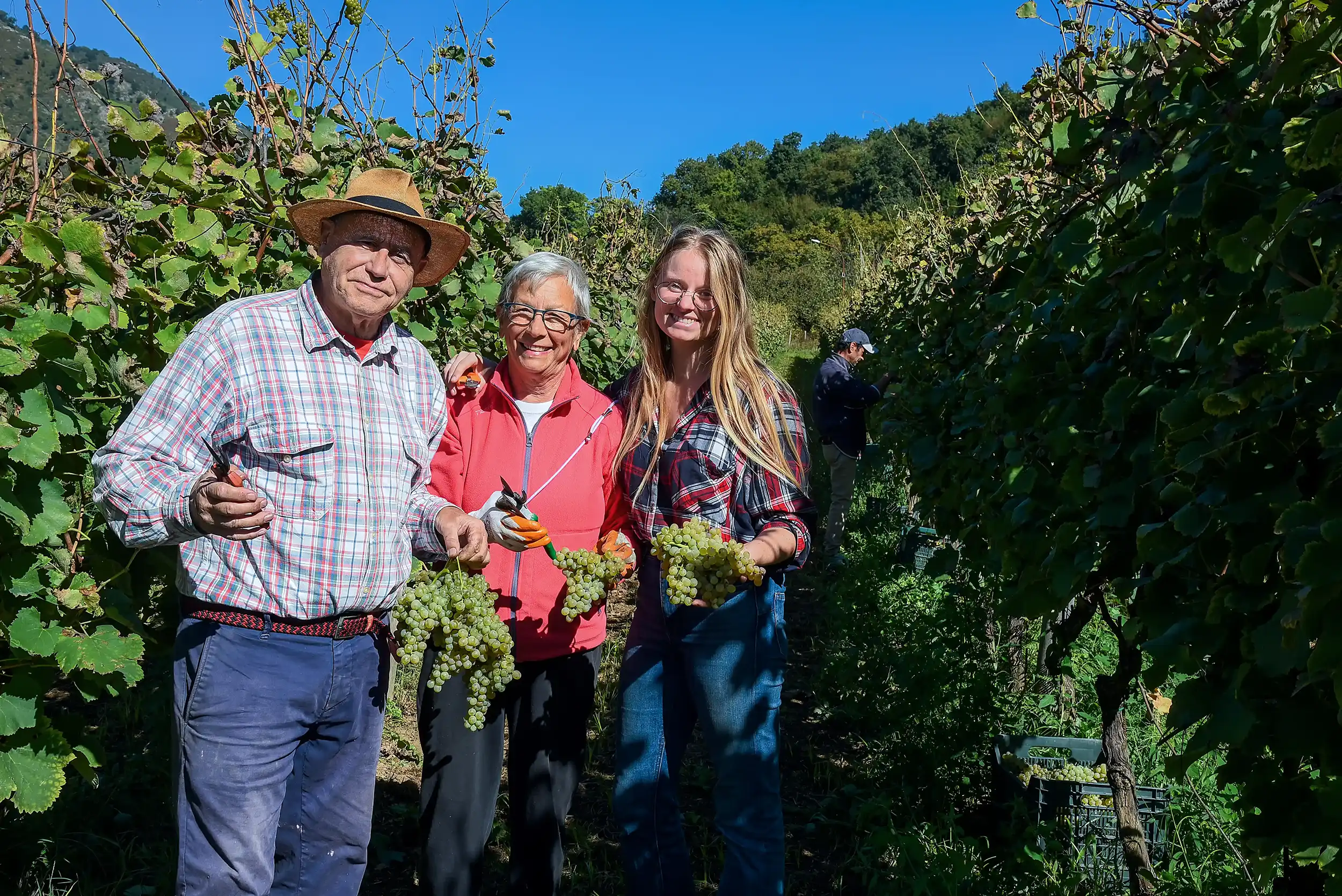 Azienda Agricola Guerritore