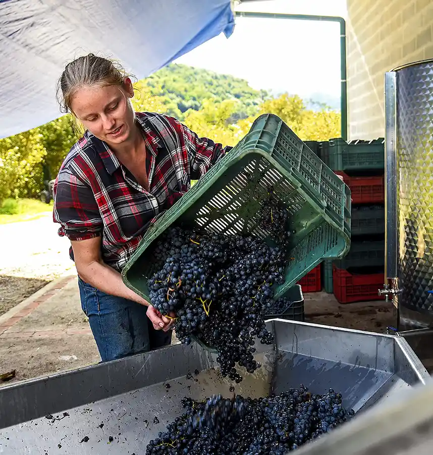 Azienda Agricola Guerritore