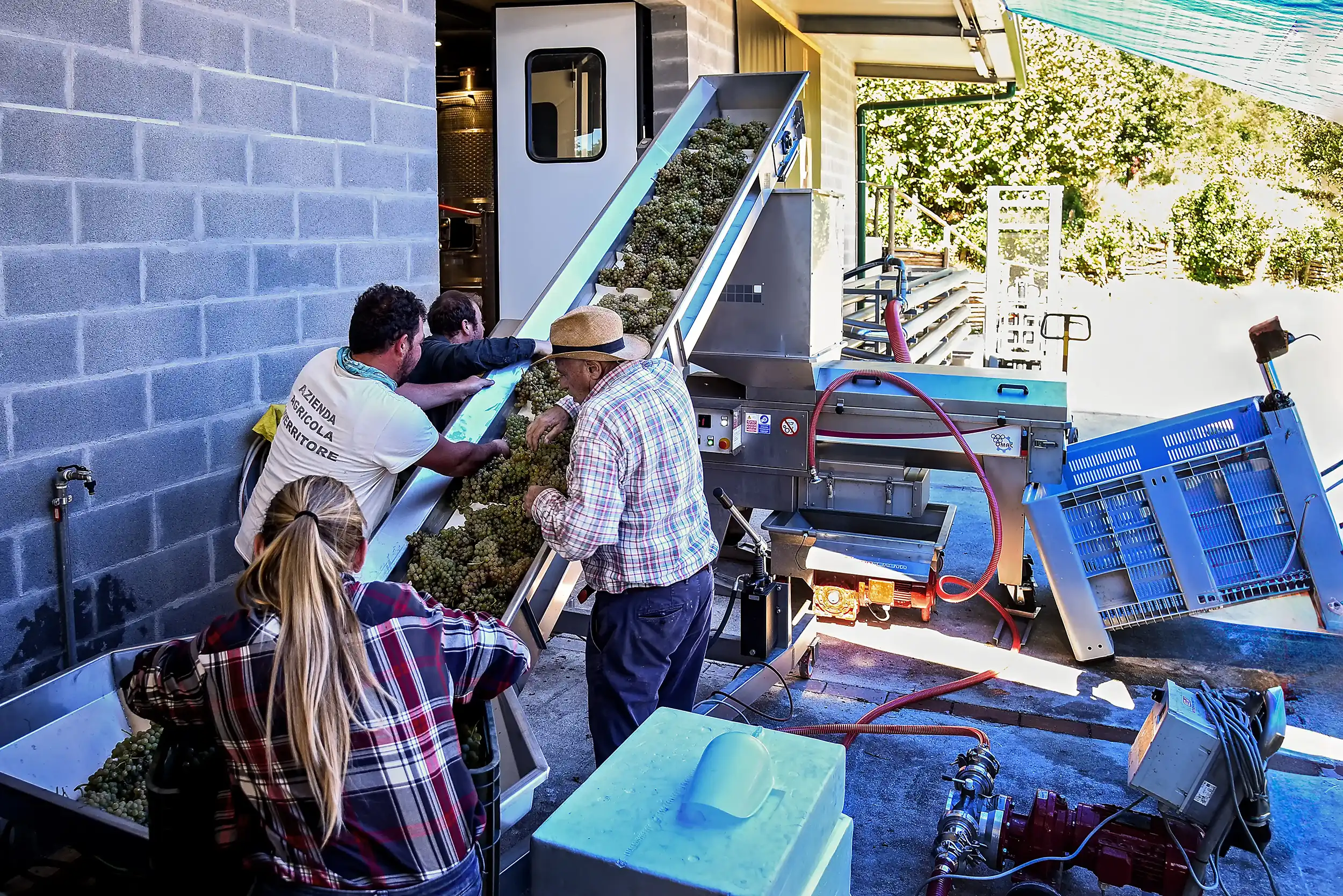 Azienda Agricola Guerritore