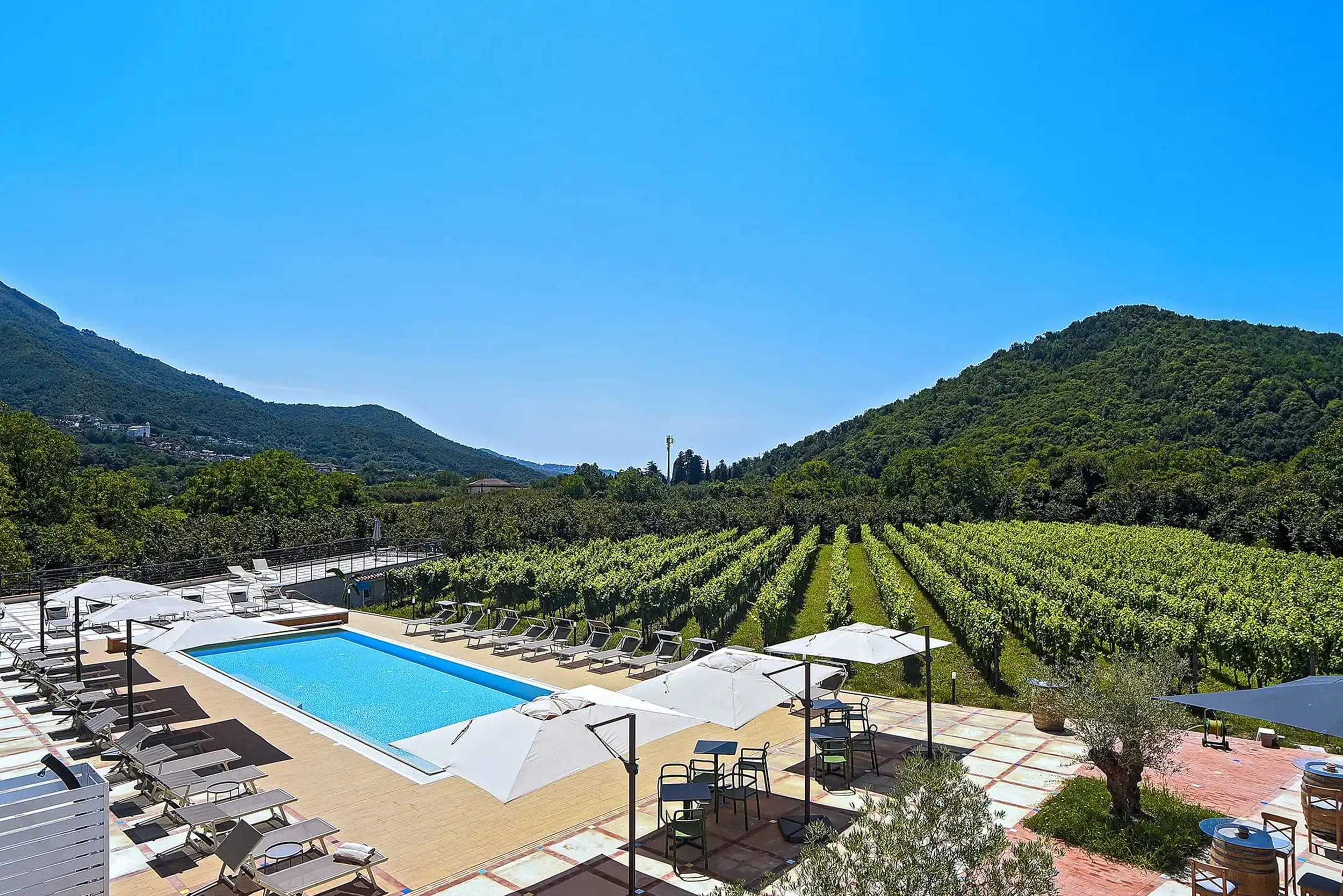 Azienda Agricola Guerritore