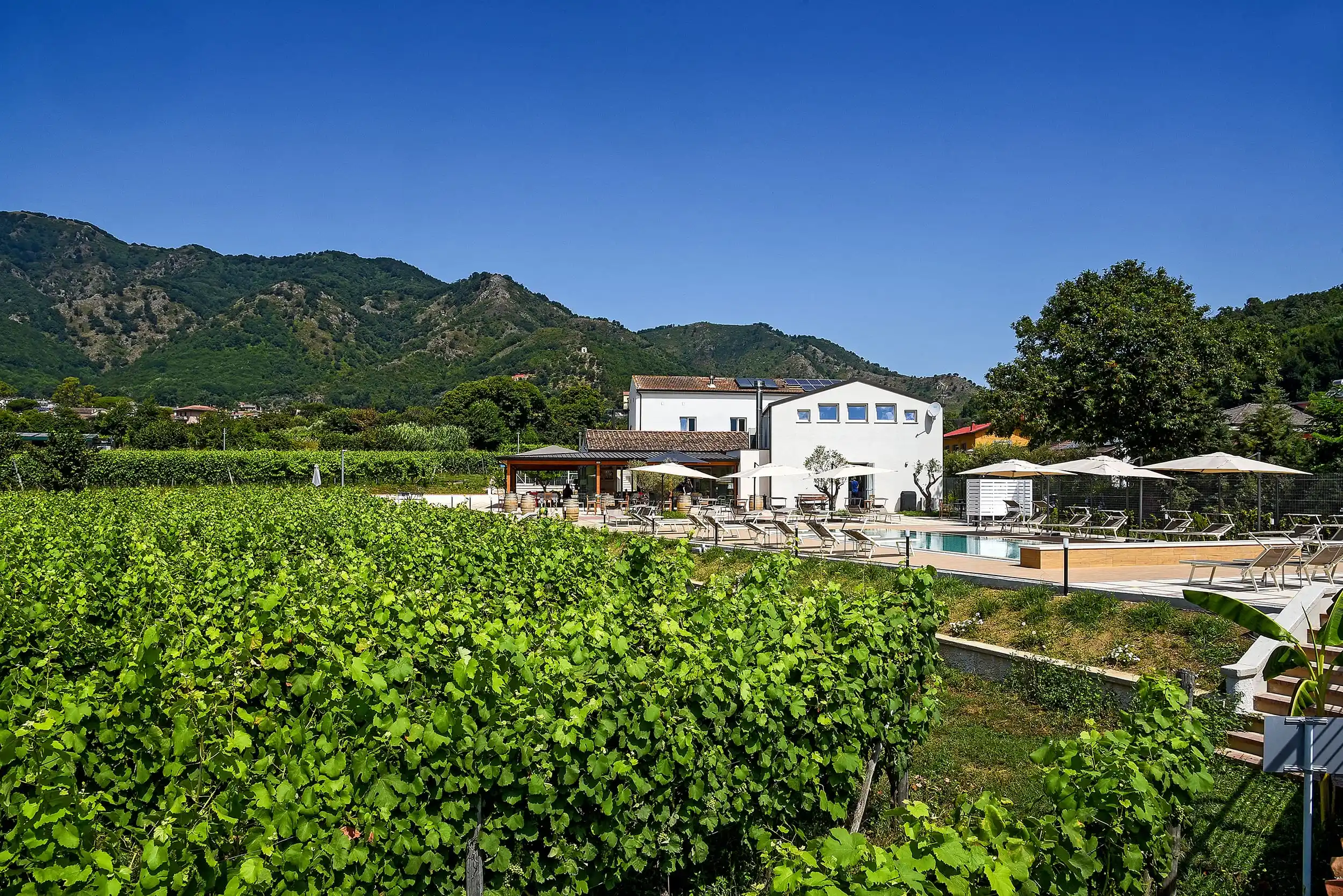 Azienda Agricola Guerritore