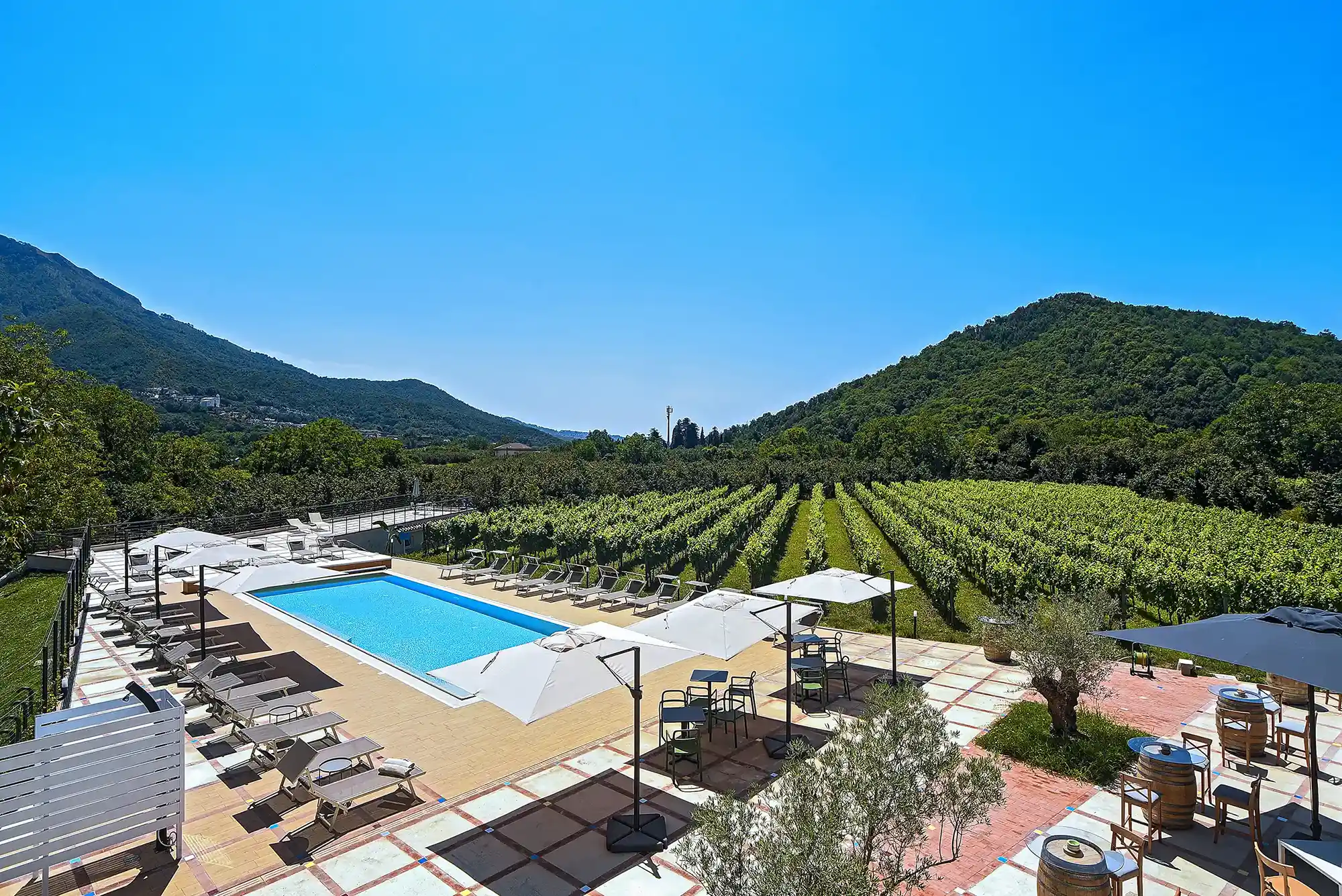 Azienda Agricola Guerritore