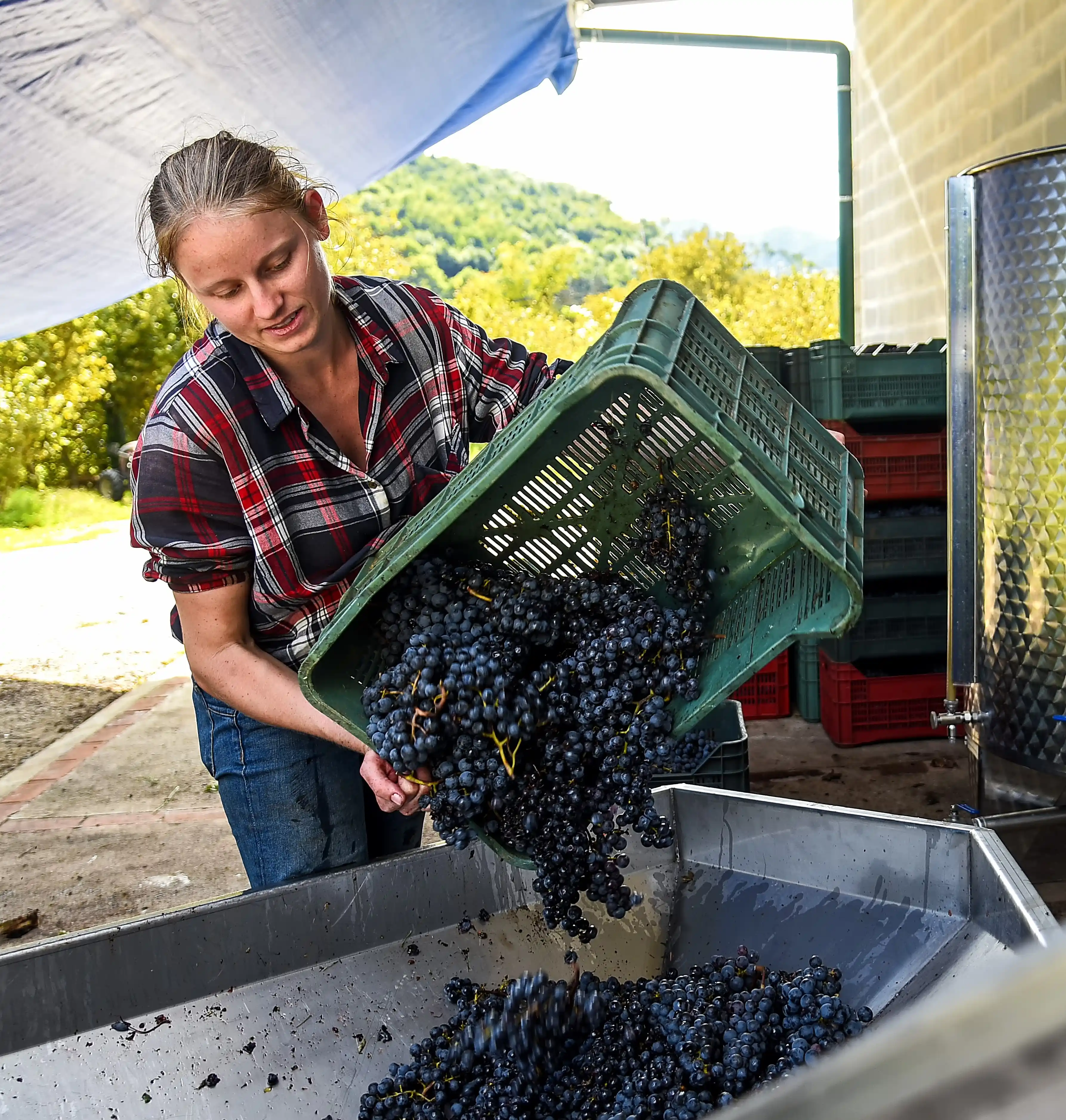 Azienda Agricola Guerritore